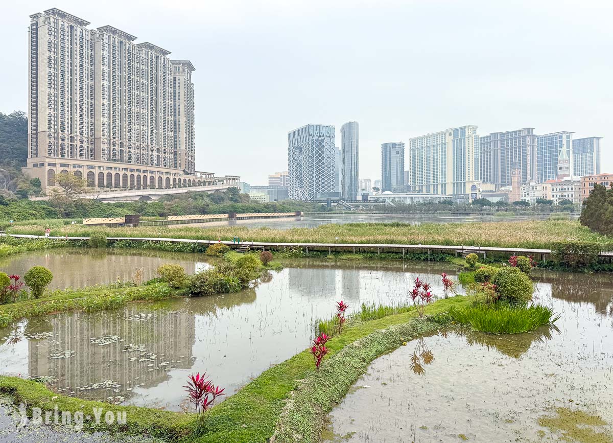 官也街周邊景點介紹|龍環葡韻濕地生態區