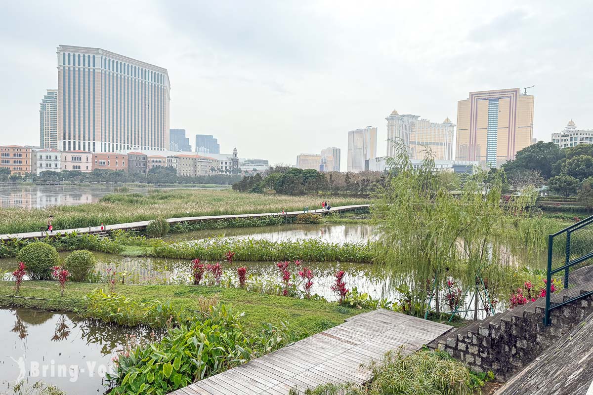 官也街周邊景點介紹|龍環葡韻濕地生態區