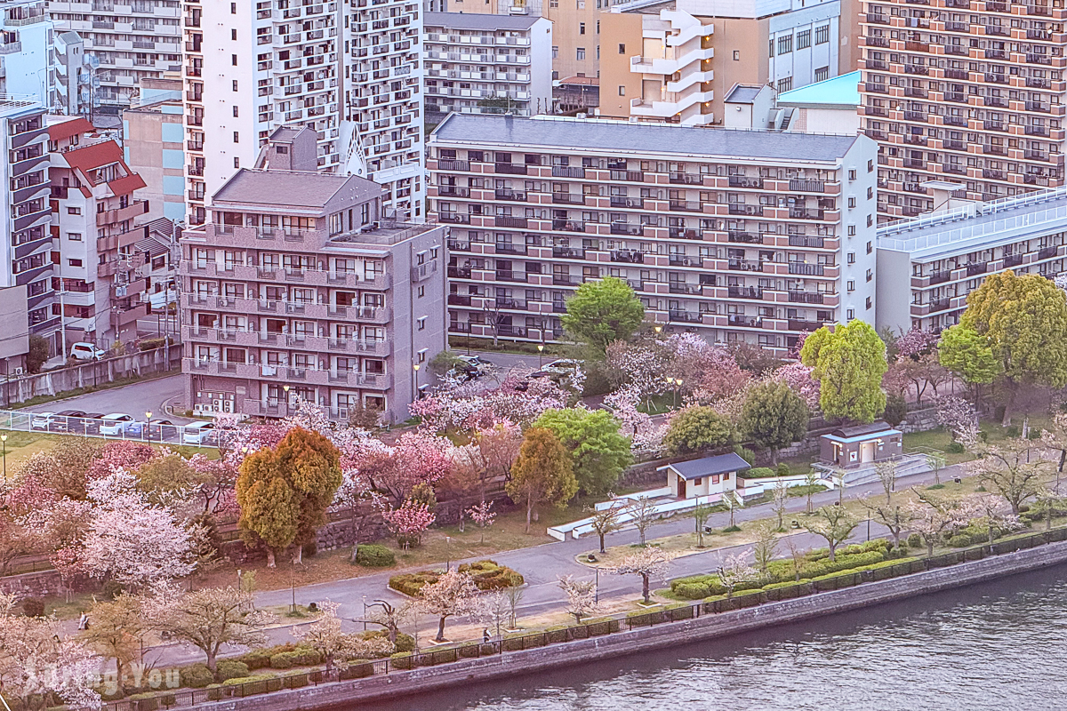 大阪城希爾頓逸林酒店|大阪城住宿推薦