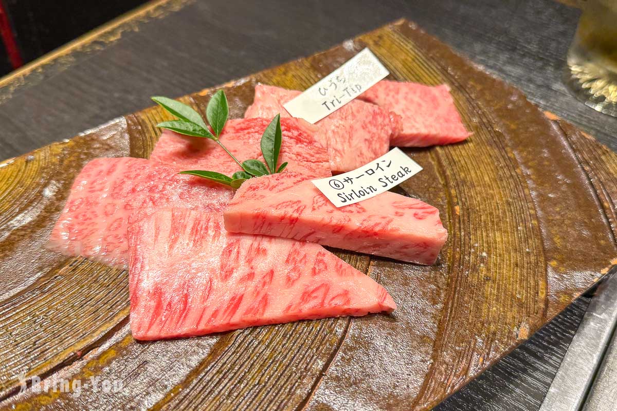 大阪美食燒肉推薦|松阪牛燒肉M