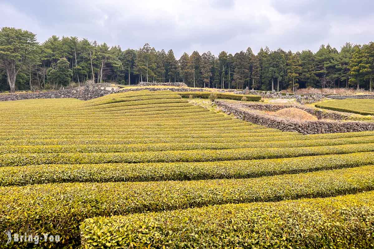 济州岛自由行攻略