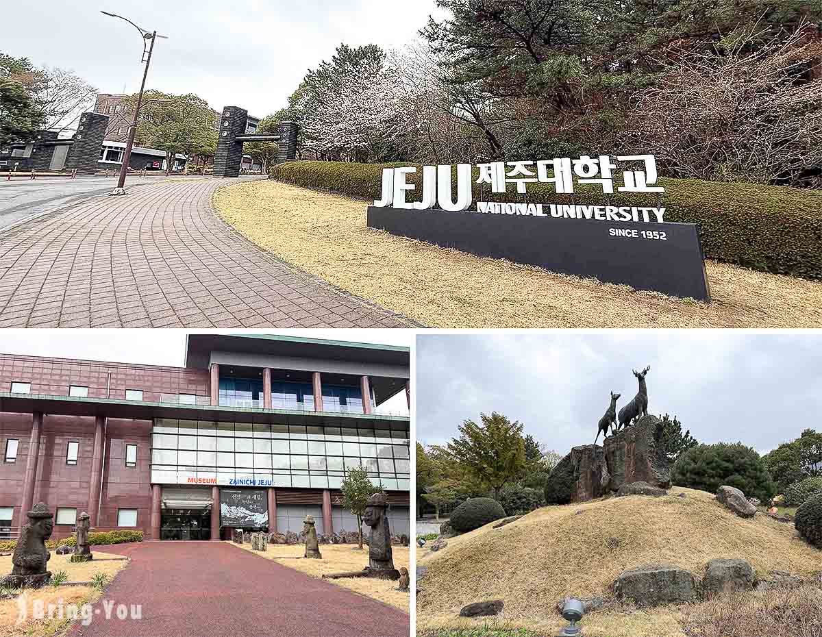 济州大学