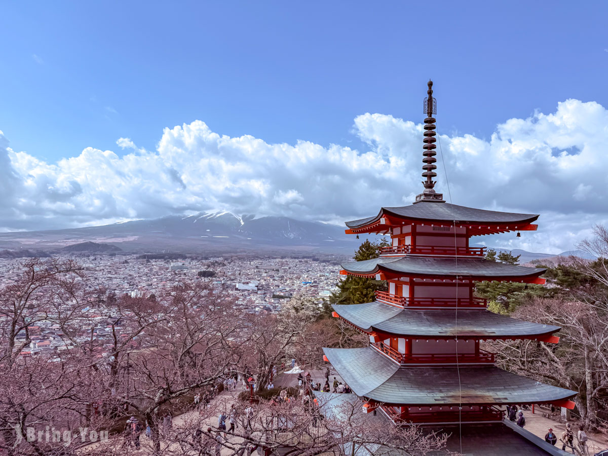 【新仓富士浅间神社攻略】新仓山浅间公园必拍富士山五重塔与樱花绝景