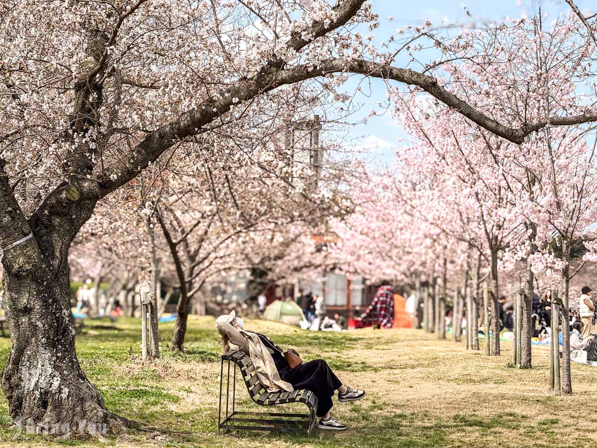 【大阪萬博紀念公園完整攻略】太陽之塔、賞櫻楓葉、交通門票&必逛景點