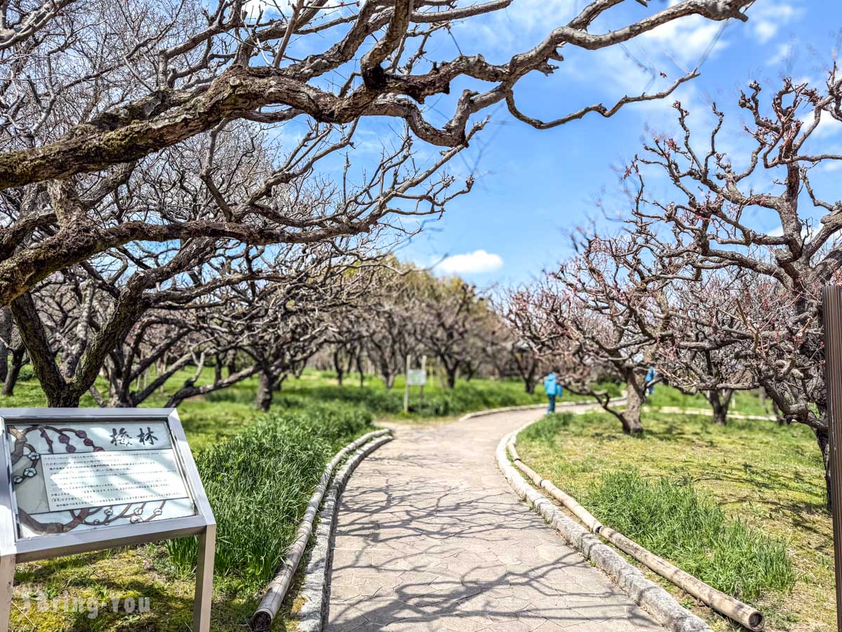 大阪万博纪念公园