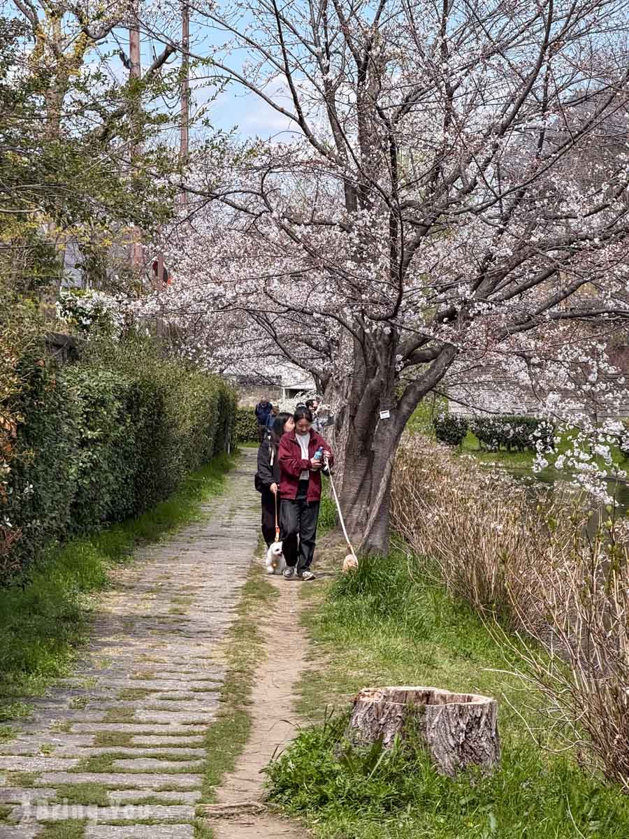 伏见十石舟景点