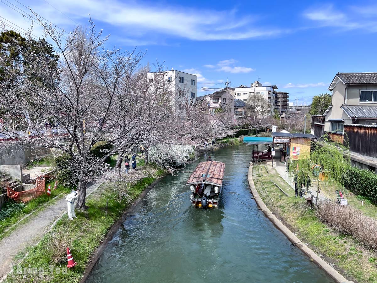 伏见十石舟搭船攻略｜京都赏樱、清酒酒乡与运河风光一日游