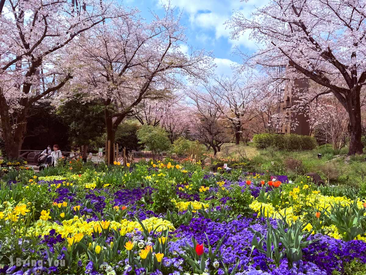 【東京超美花園櫻花秘境】HANA BIYORI 植物園｜溫室星巴克與每日投影秀介紹
