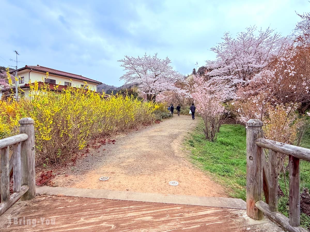 福岛花见山公园