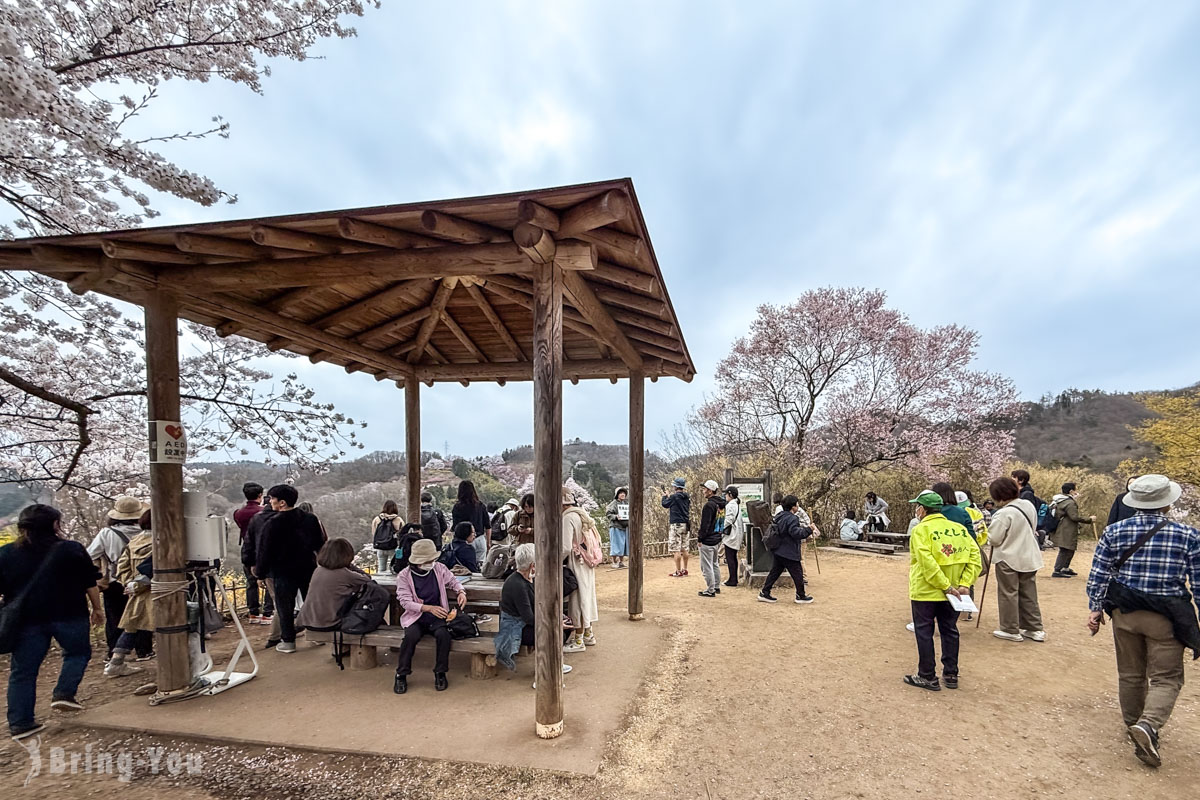 福岛花见山公园