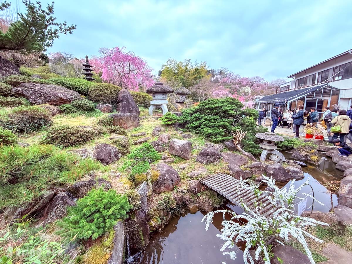 福岛花见山公园