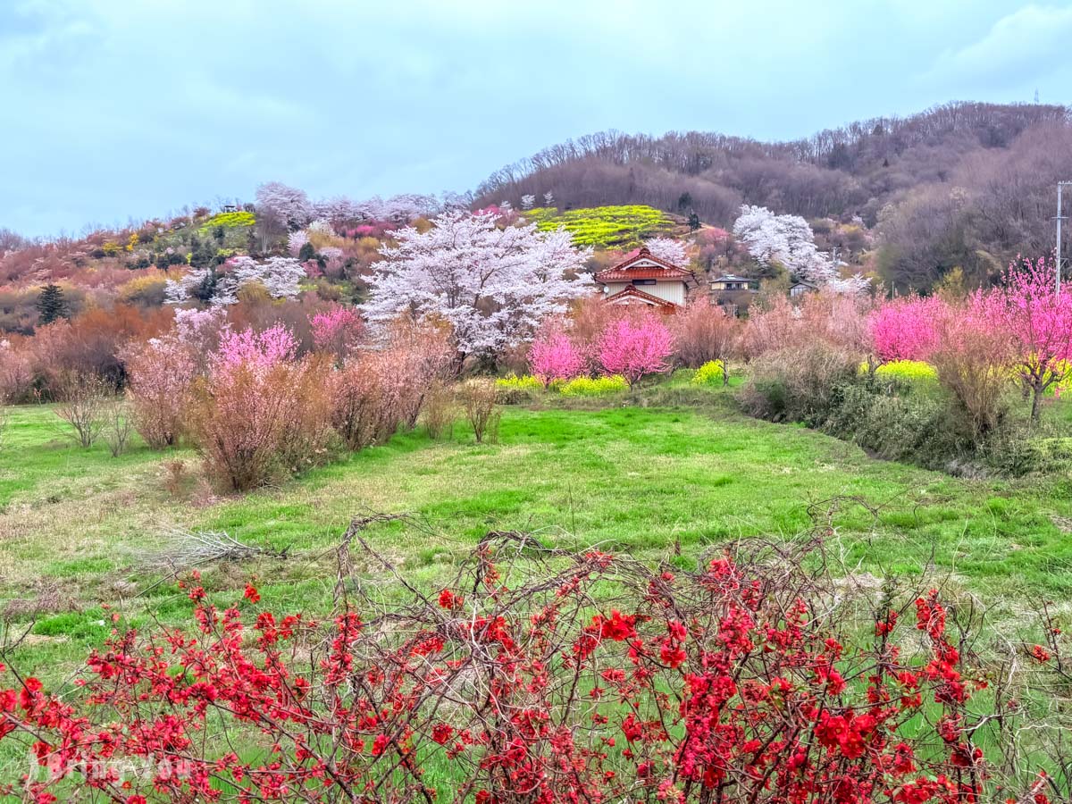 福岛花见山公园