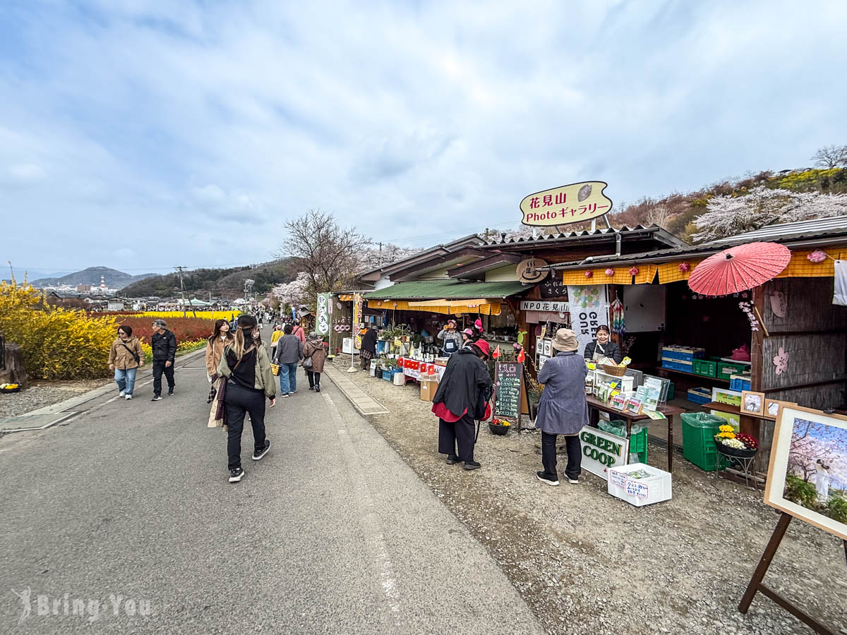 福岛花见山公园