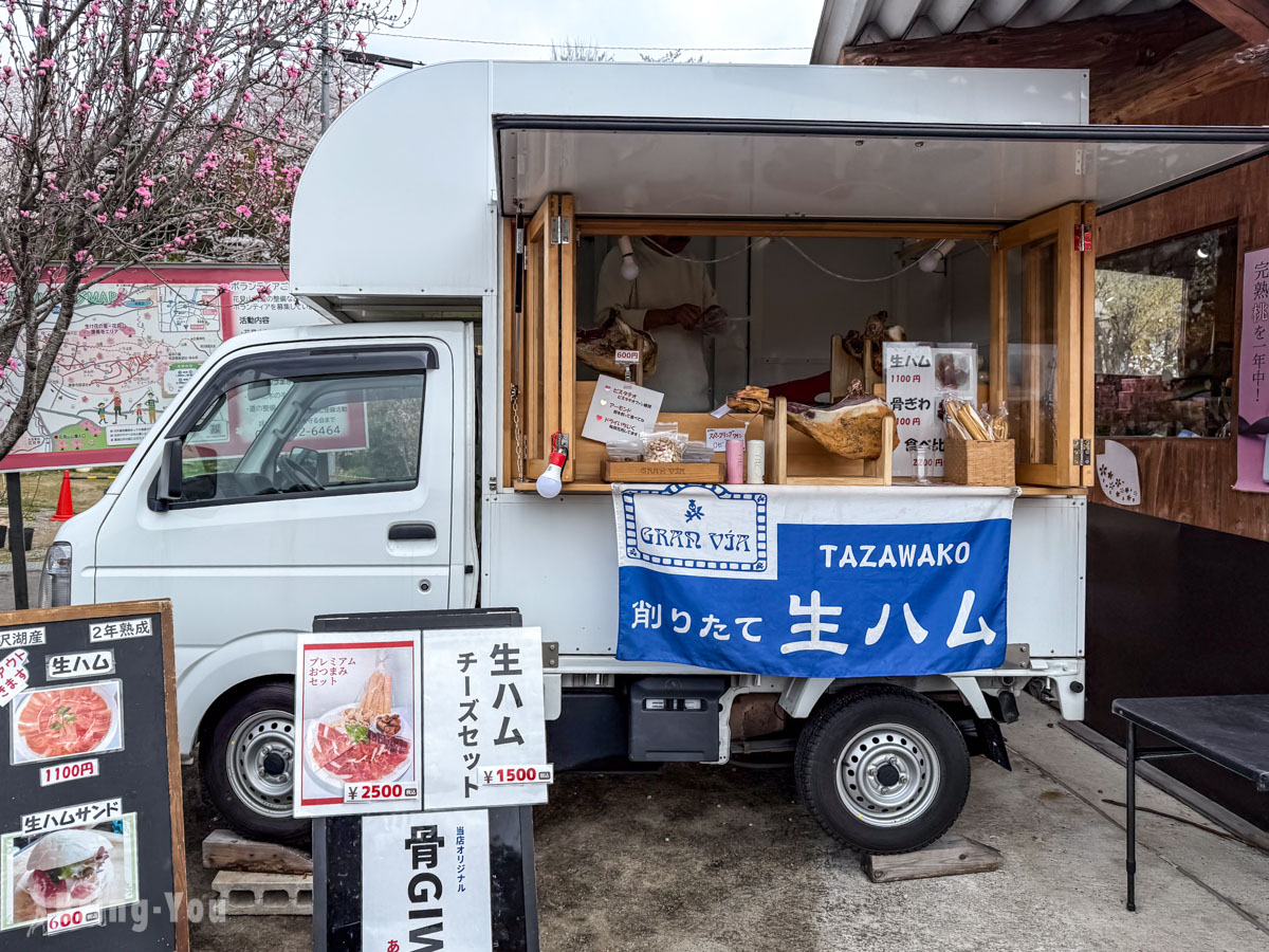福岛花见山公园