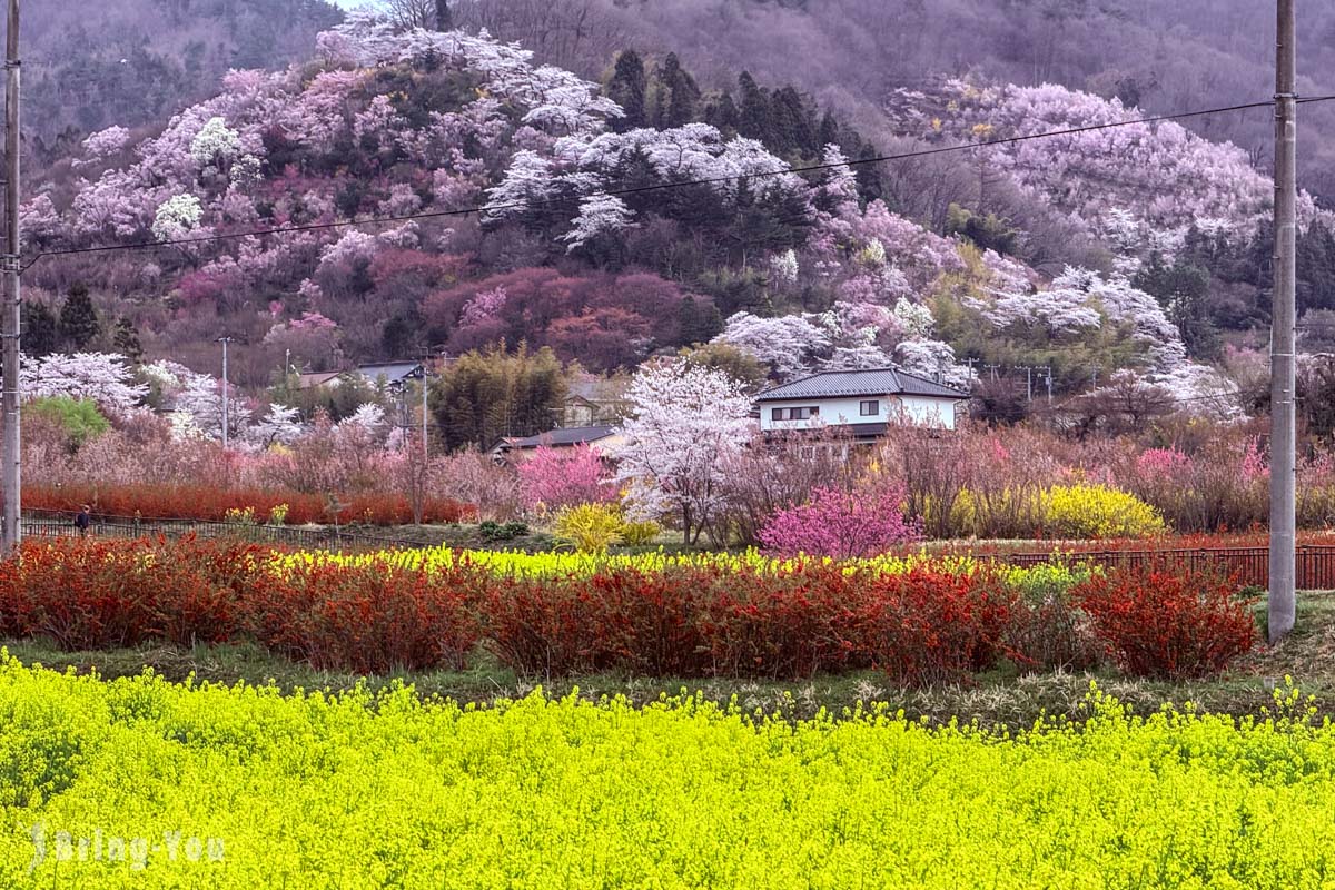 福岛花见山公园