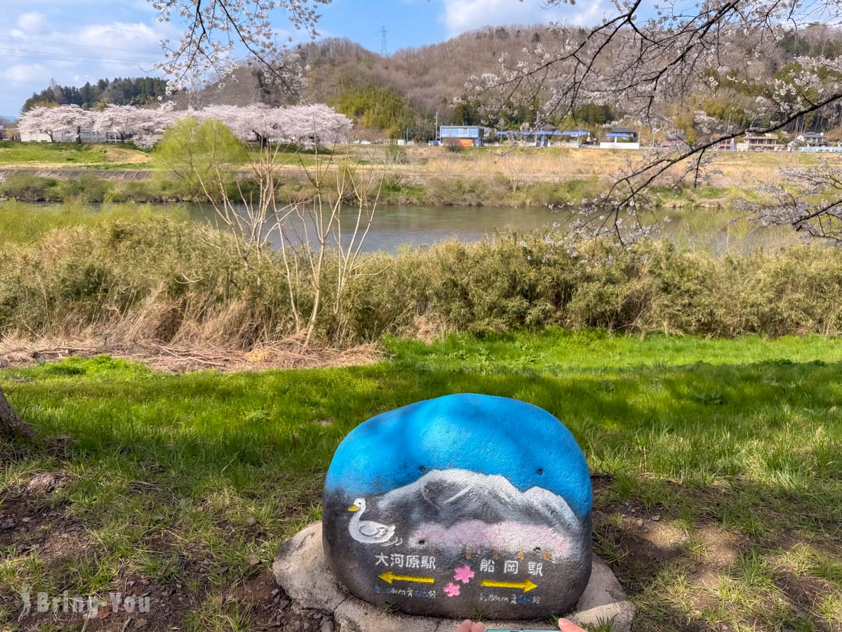 白石川堤一目千本櫻