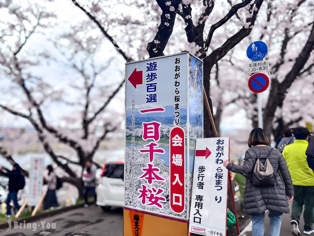 白石川堤一目千本櫻交通