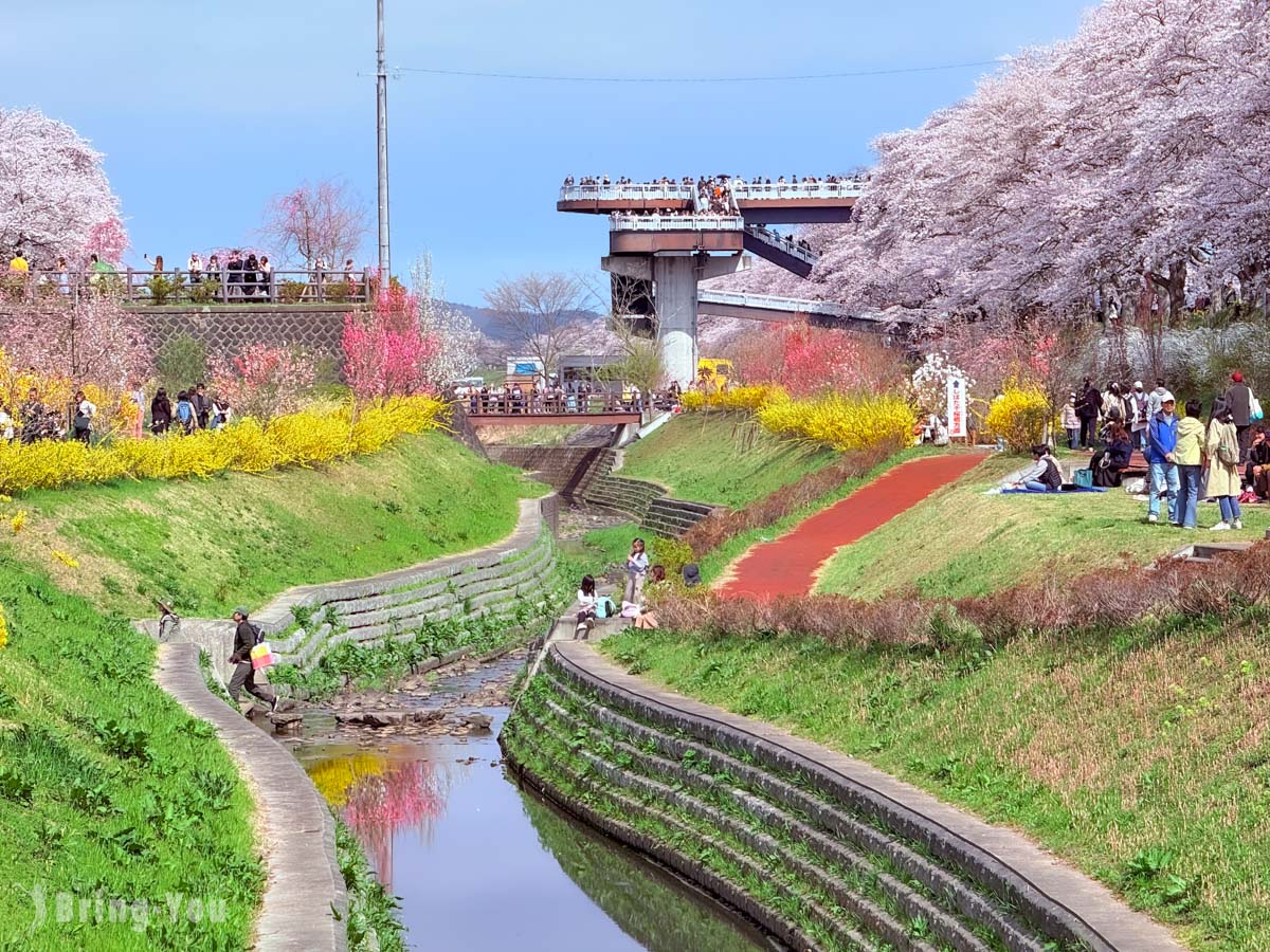 白石川堤一目千本櫻