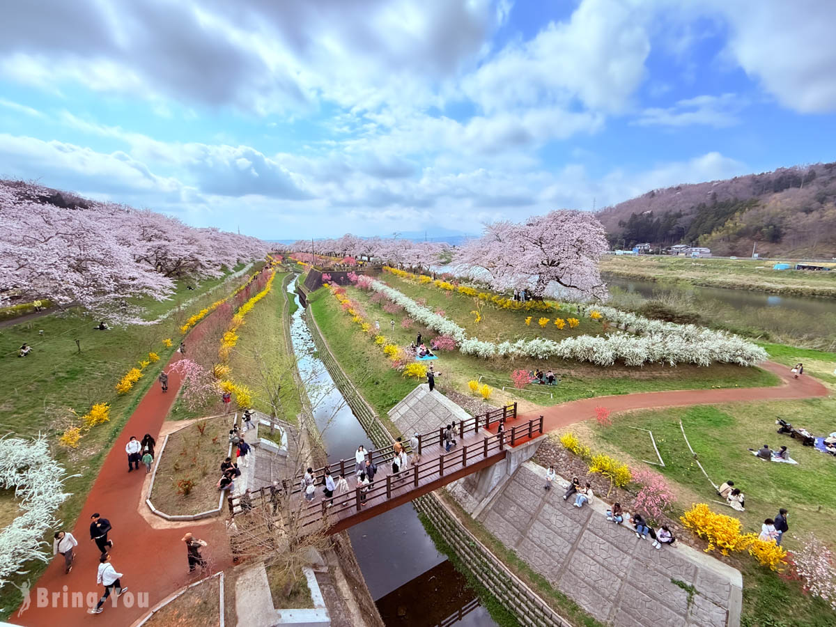 白石川堤一目千本櫻