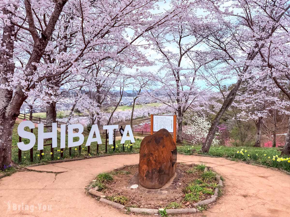 船岡城址公園