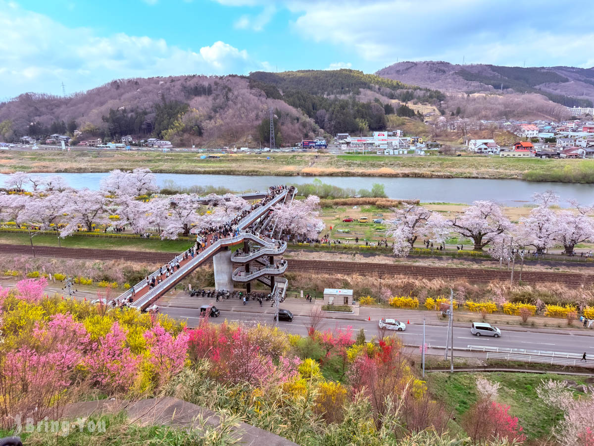 白石川堤一目千本櫻