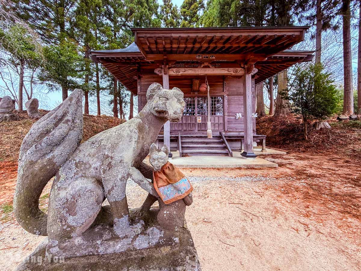 三春泷樱