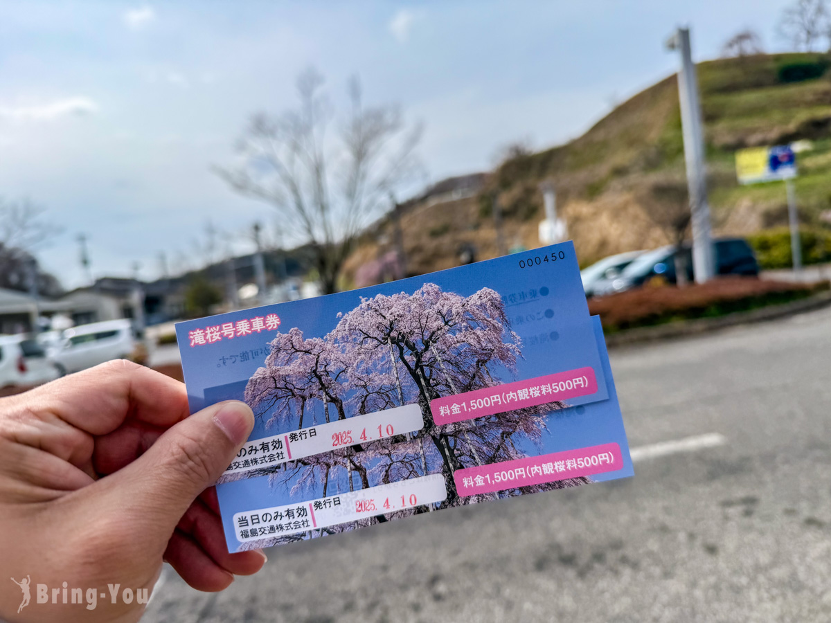 三春泷樱