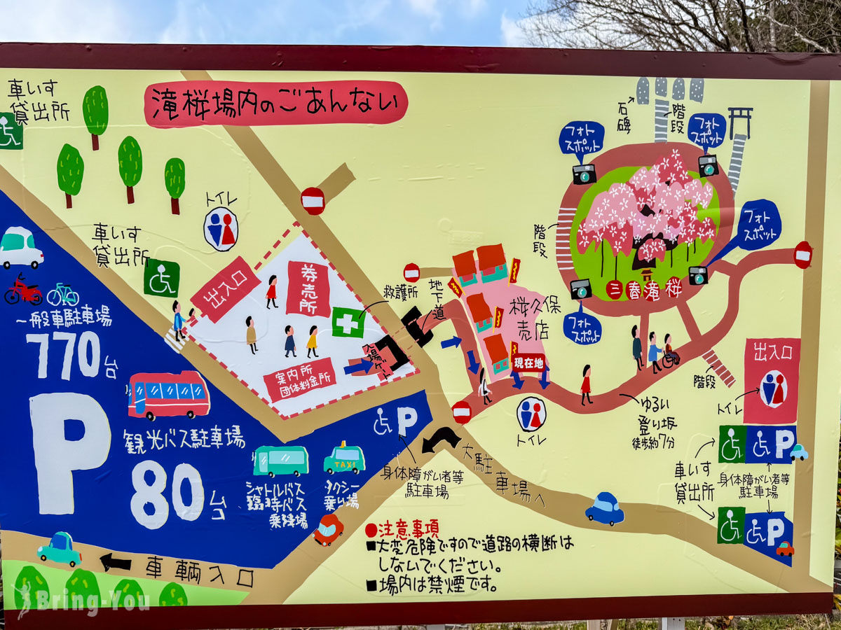 三春泷樱