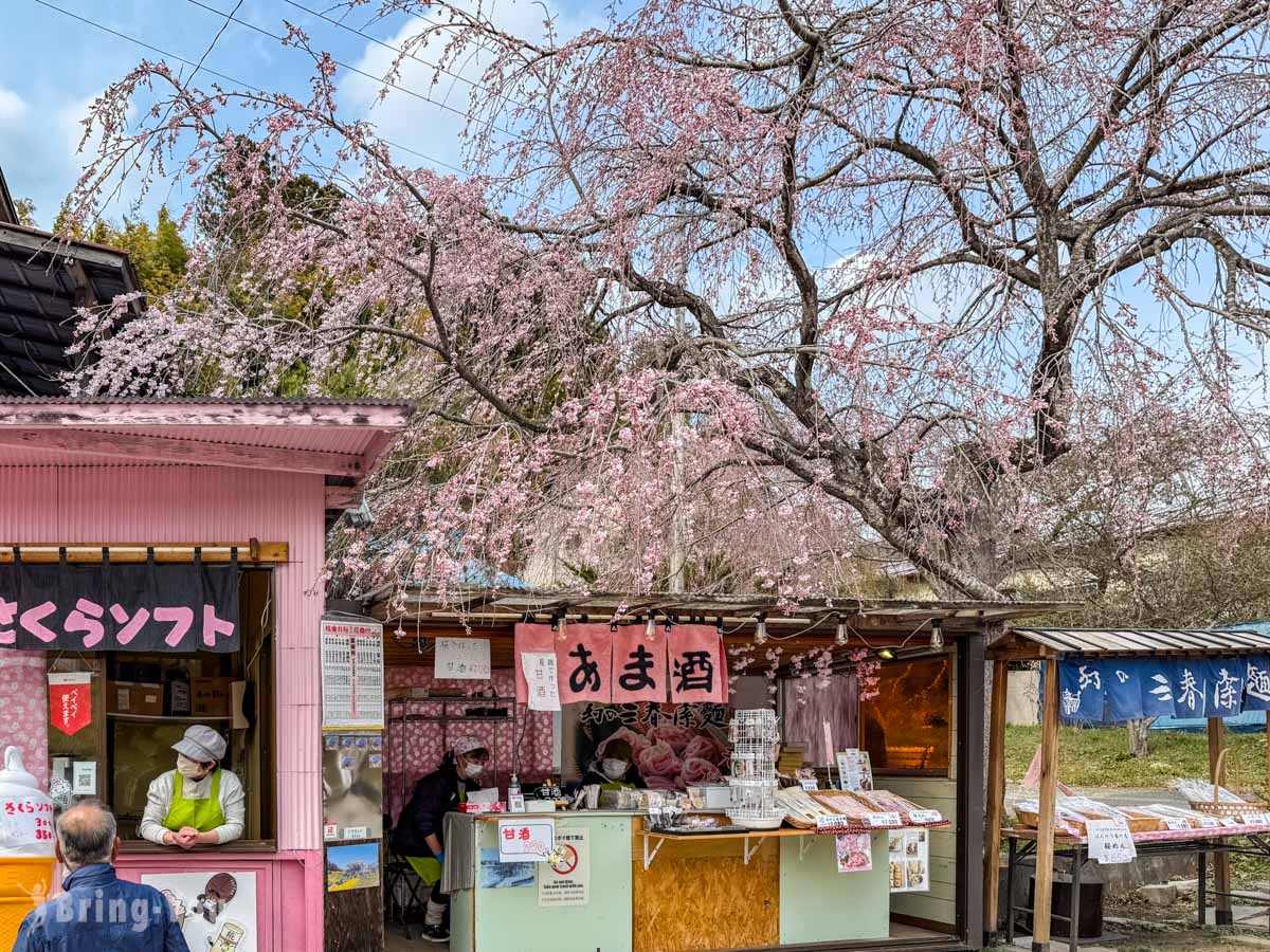 三春泷樱