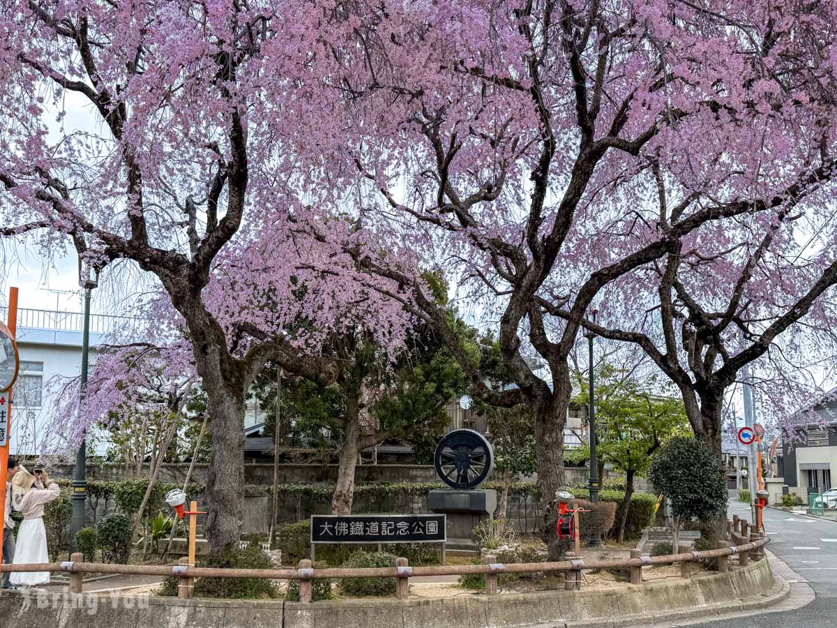 佐保川樱花隧道
