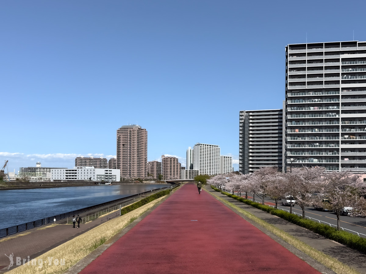 南千住汐入公園櫻花