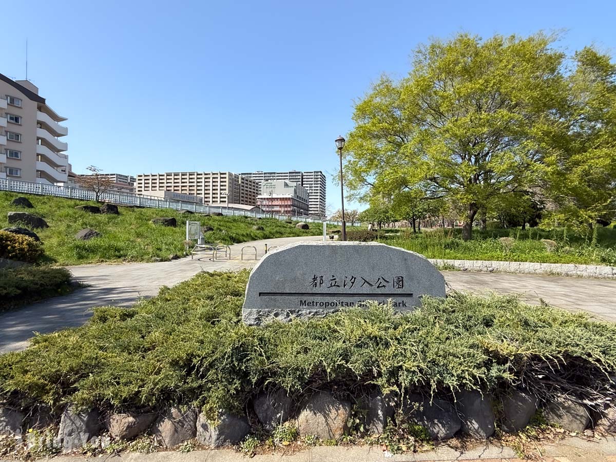南千住汐入公園櫻花