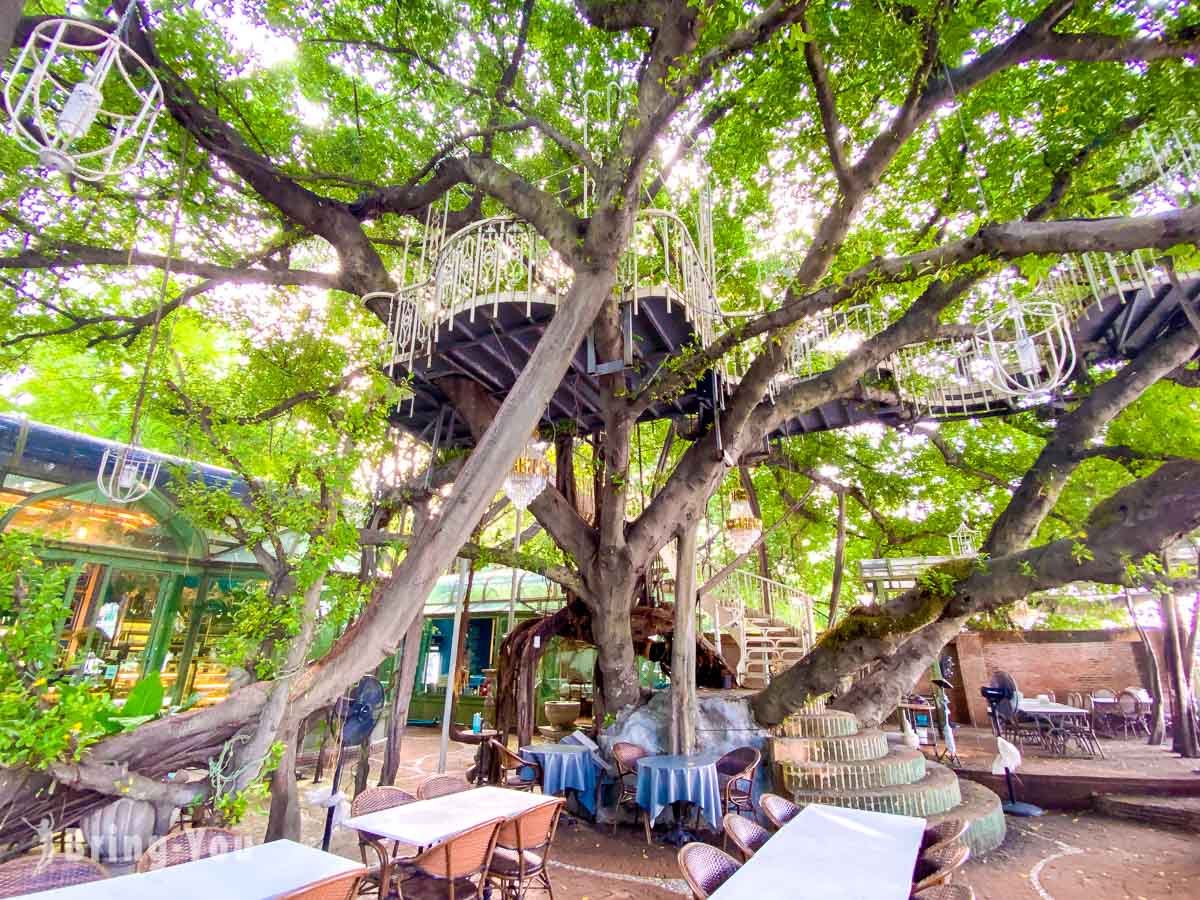 Tsai Eatery Cafe Bangkok|曼谷 IG 打卡網美餐廳