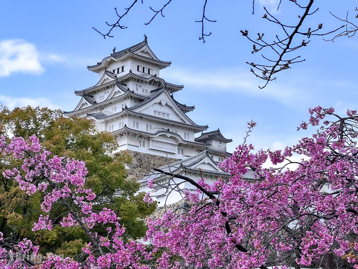 【姬路城攻略】門票、交通、櫻花看點｜日本第一名城必看景點完整介紹