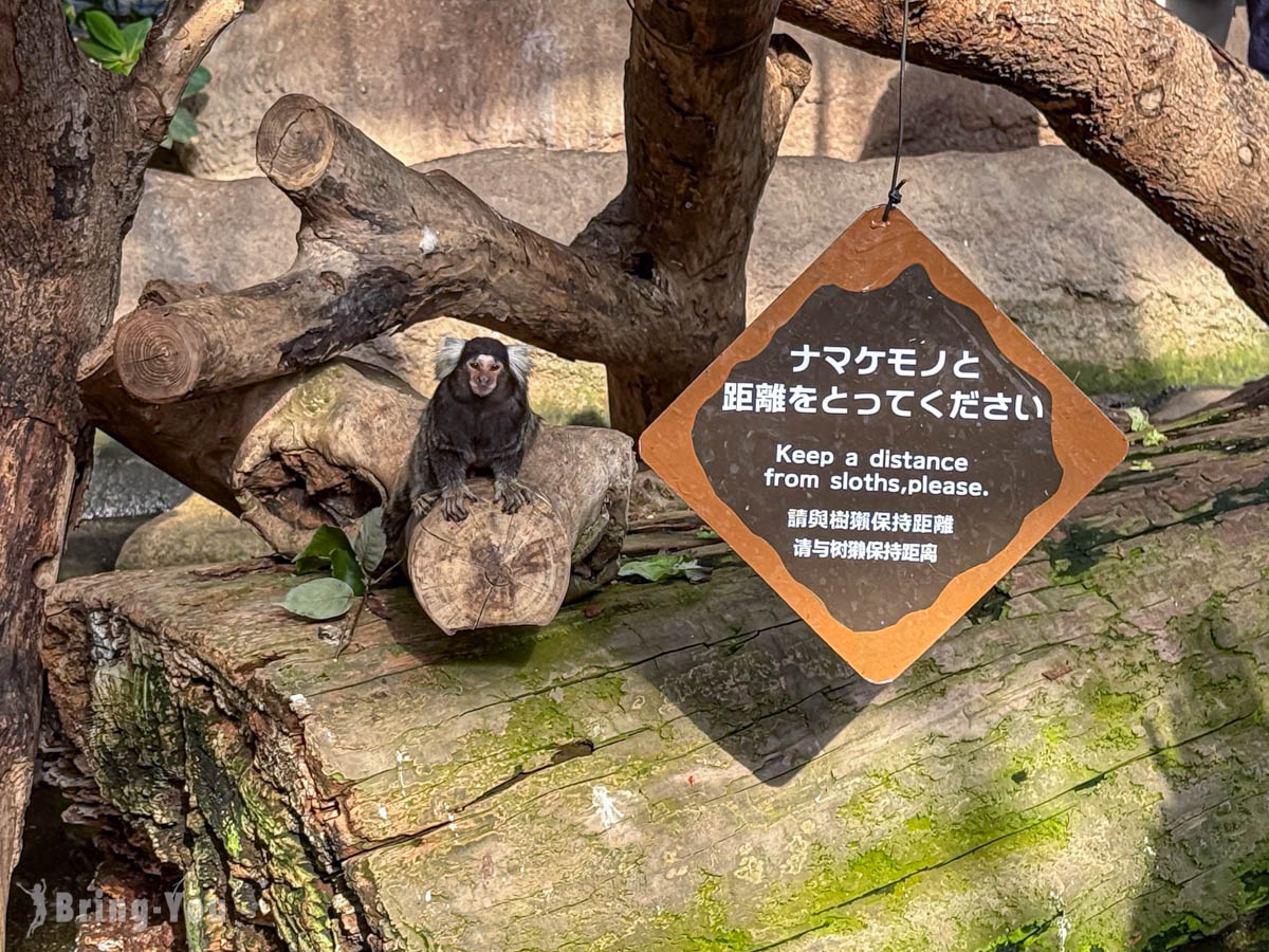神戶動物王國