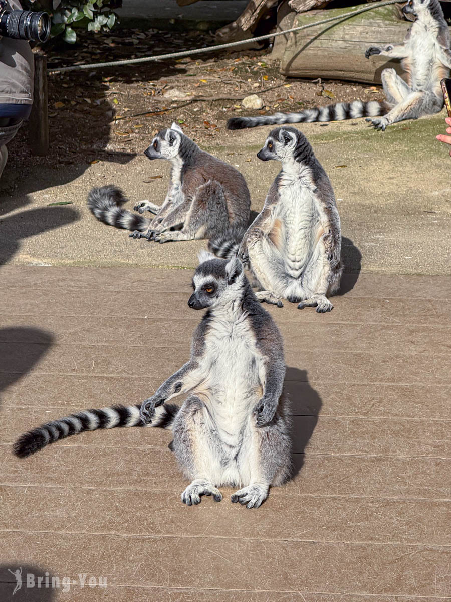 神戶動物王國