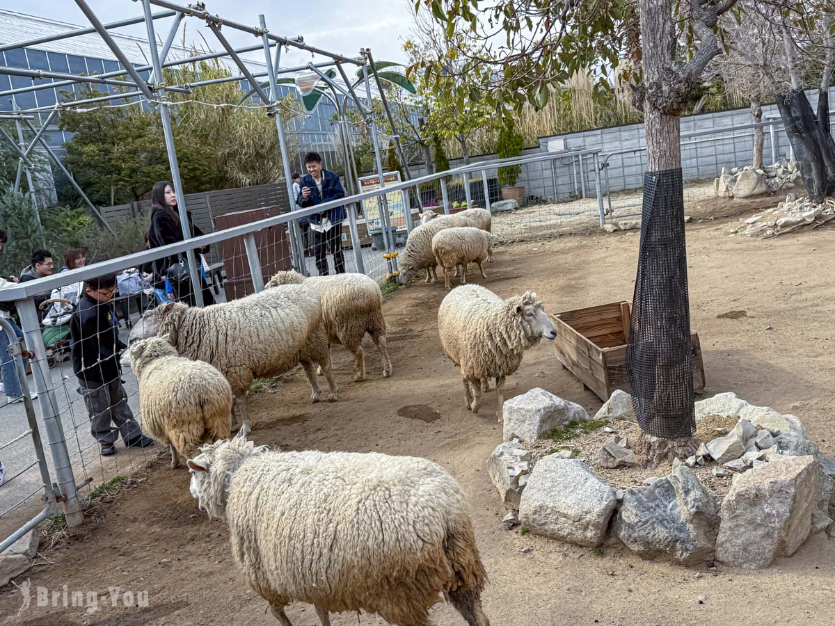 神戶動物王國