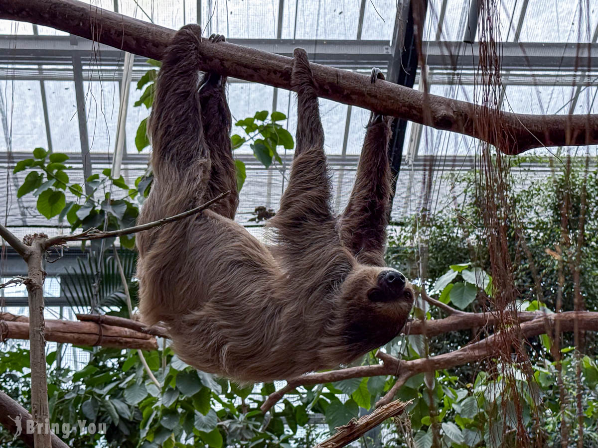 神戶動物王國