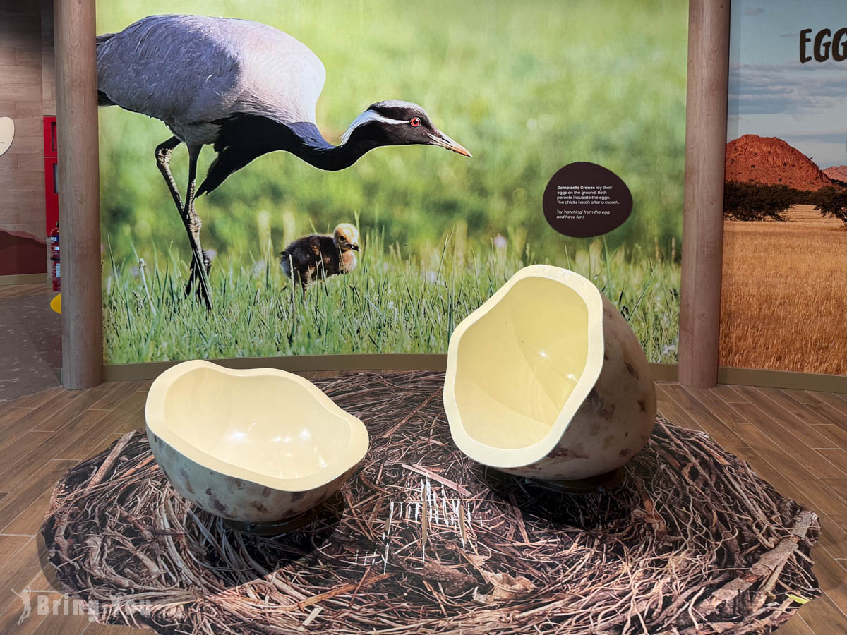 新加坡飛禽公園 Bird Paradise