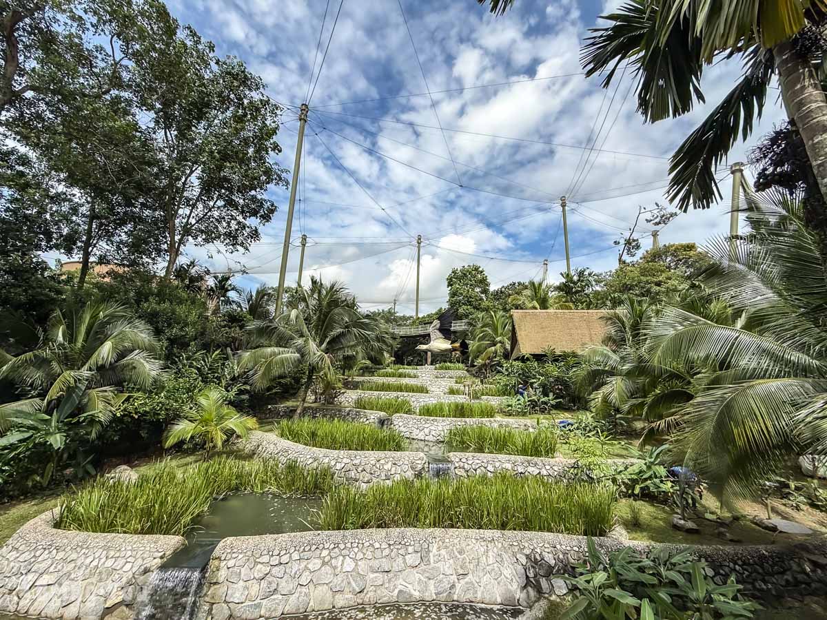 新加坡飛禽公園 Bird Paradise