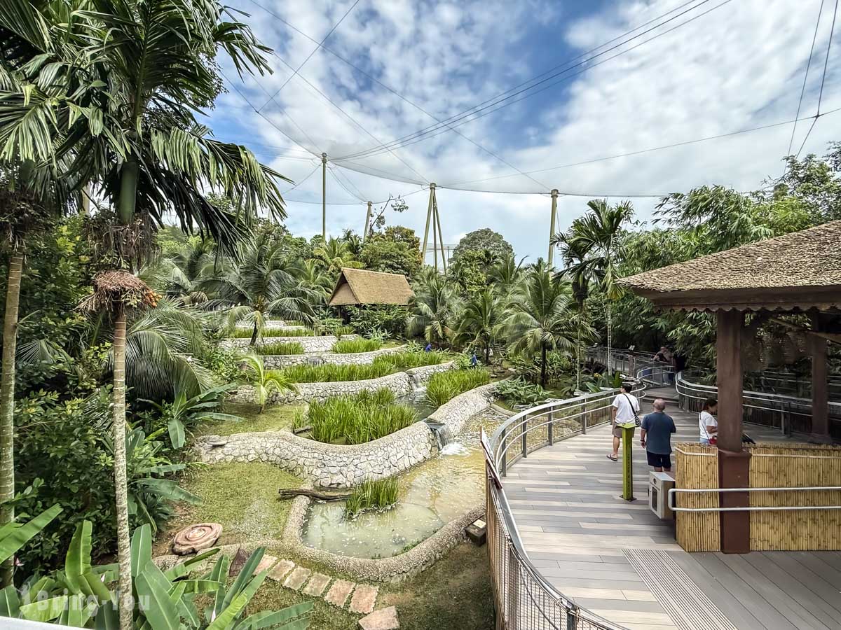 新加坡飛禽公園 Bird Paradise