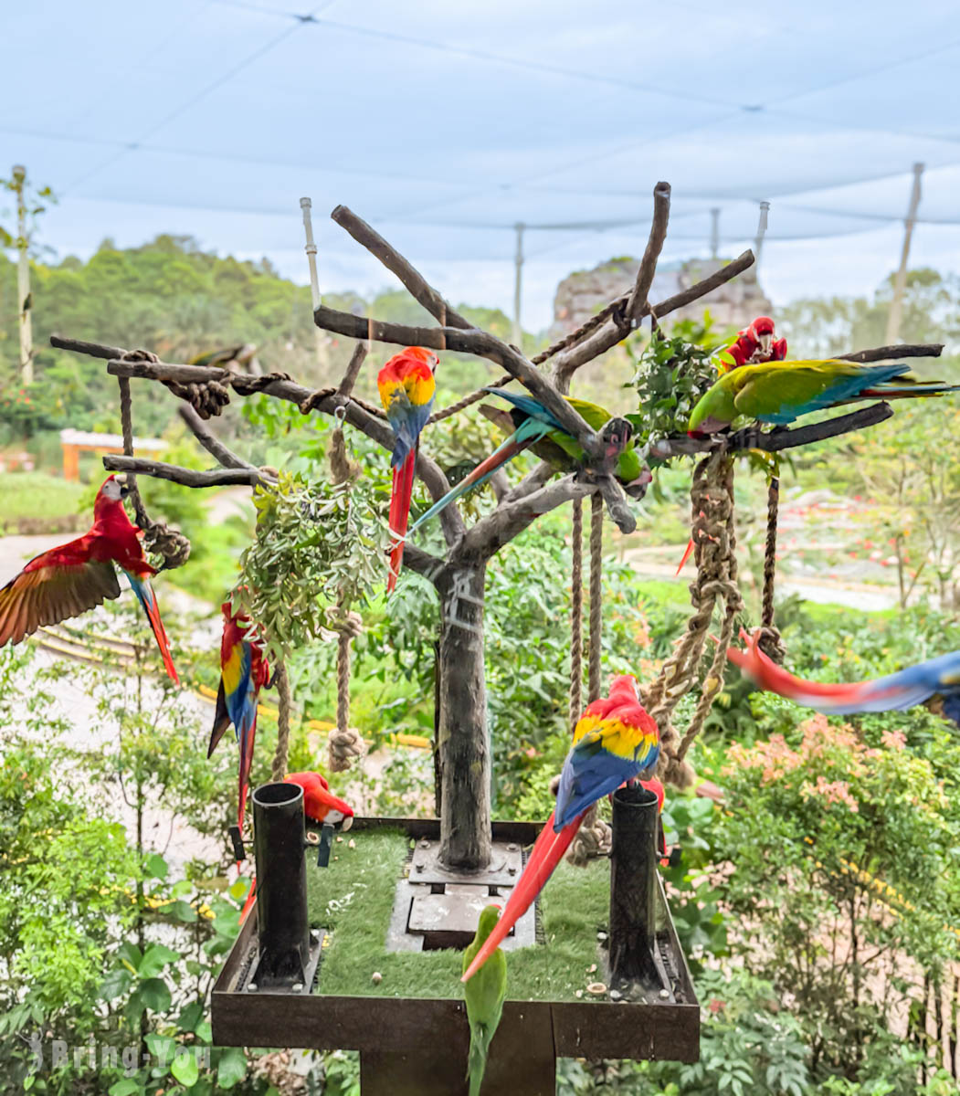 新加坡飛禽公園 Bird Paradise