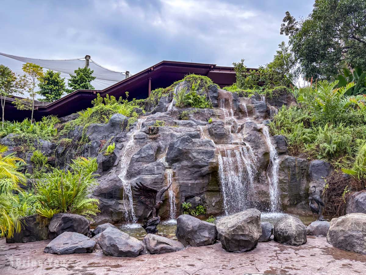 新加坡飛禽公園 Bird Paradise