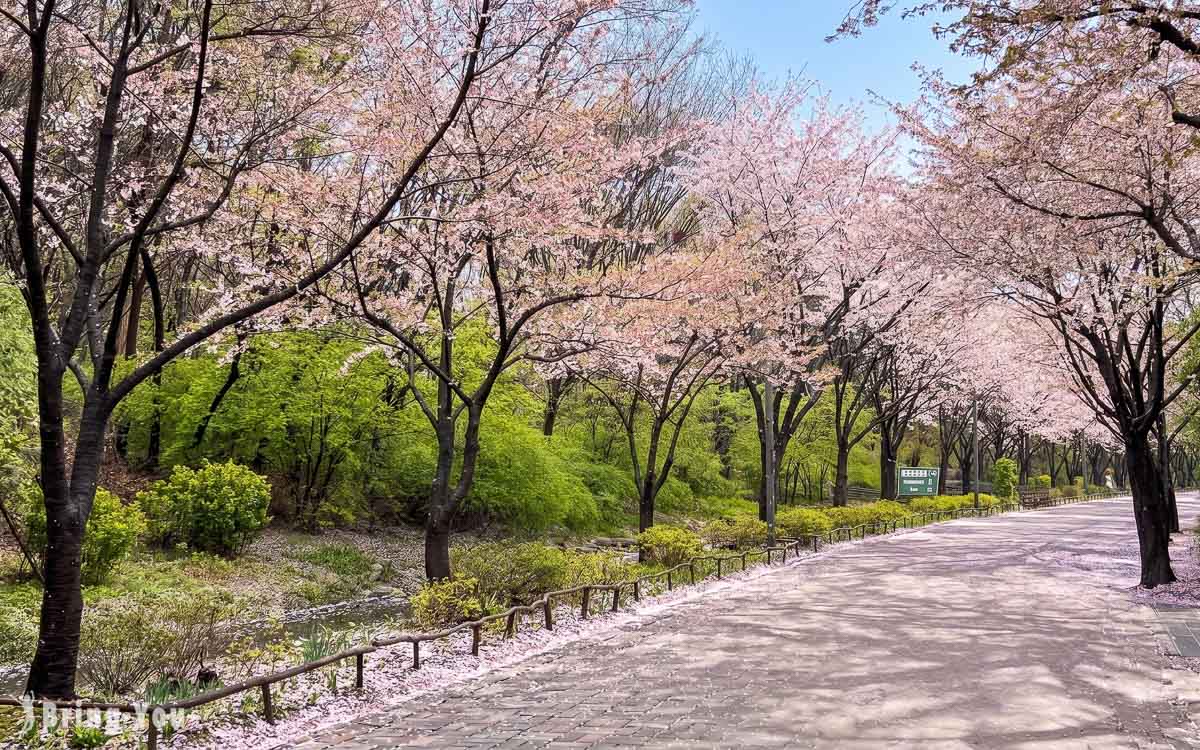 聖水洞景點