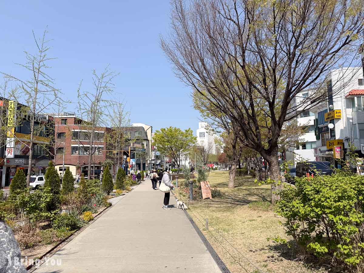 京義林蔭道