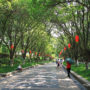 【桂林自由行】桂林市区 ☞ 七星公园漫步迎面扑来桂树香