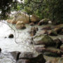 【檳城西北海岸景點】檳城國家公園：一日遊健行好去處