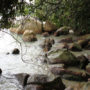 【檳城西北海岸景點】檳城國家公園：一日遊健行好去處