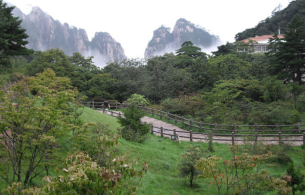 中国自助行 x 黄山两天一夜 x 雾中登山体验