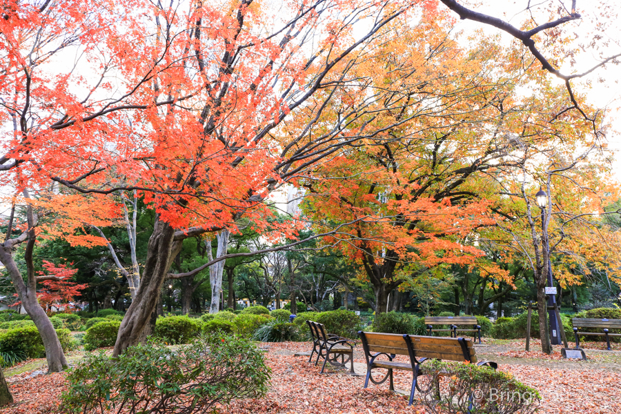 日比谷公園